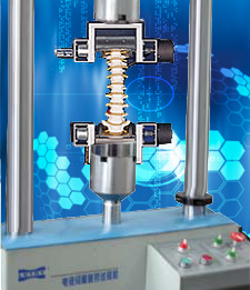 脊柱弯扭复合模拟试验系统